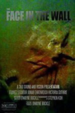 Watch The Face in the Wall 123movies