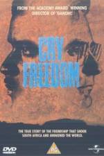 Watch Cry Freedom 123movies