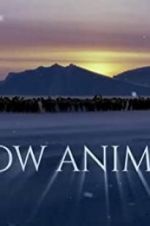 Watch Snow Animals 123movies