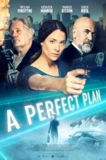 Watch A Perfect Plan 123movies