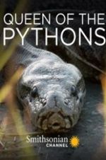 Watch Queen of the Pythons 123movies