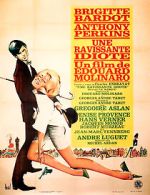 Watch Agent 38-24-36 123movies