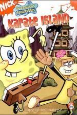 Watch SpongeBob SquarePants Whale of a BirthdayKarate Island 123movies