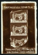 Watch Horse Shoeing 123movies