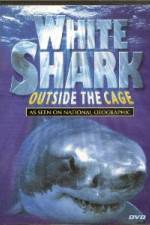 Watch National Geographic white shark:outside the cage 123movies