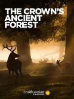 Watch The Crown\'s Ancient Forest 123movies