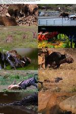 Watch National Geographic - World's Deadliest Lady Killers 123movies