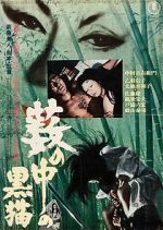 Watch Black Cat 123movies