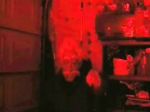 Watch Video Nasty 123movies