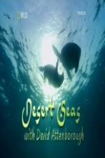 Watch National Geographic Desert Seas 123movies