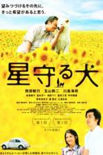Watch Star Watching Dog 123movies