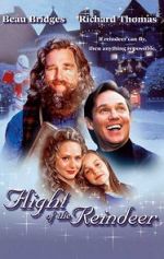 Watch The Christmas Secret 123movies