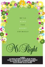 Watch Mr Right 123movies