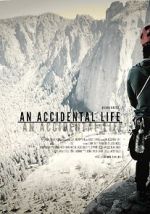 Watch An Accidental Life 123movies