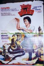 Watch Snake in the Eagle's Shadow II 123movies