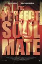 Watch The Perfect Soulmate 123movies