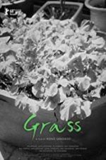 Watch Grass 123movies