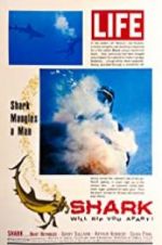 Watch Shark 123movies