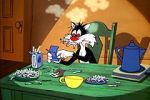 Watch The Last Hungry Cat 123movies