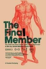 Watch The Final Member 123movies
