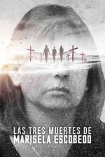 Watch The Three Deaths of Marisela Escobedo 123movies
