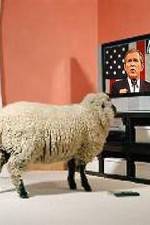 Watch Educating The Sheeple 123movies