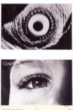 Watch The Searching Eye 123movies
