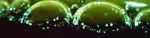 Watch Zea (Short 1981) 123movies