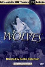 Watch Wolves 123movies
