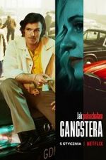 Watch How I Fell in Love with a Gangster 123movies