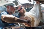 Watch Brewmance 123movies