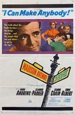 Watch Madison Avenue 123movies