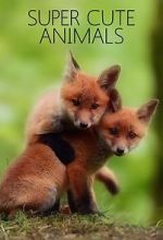 Watch Super Cute Animals 123movies