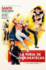 Watch The Fury of the Karate Experts 123movies