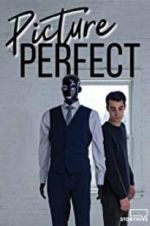 Watch Picture Perfect 123movies