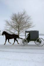 Watch Leaving Amish Paradise 123movies