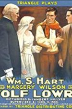 Watch Wolf Lowry 123movies