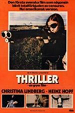 Watch Thriller: A Cruel Picture 123movies