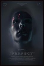 Watch Perfect 123movies