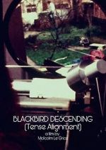 Watch Blackbird Descending 123movies