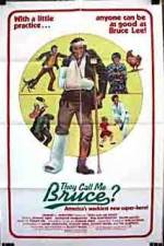 Watch They Call Me Bruce? 123movies