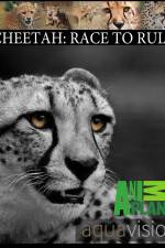 Watch Cheetah: Race to Rule 123movies