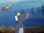 Watch The Cat and the Mermouse 123movies