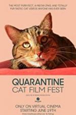 Watch Quarantine Cat Film Fest 123movies