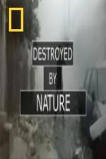 Watch National Geographic Destroyed By Nature 123movies