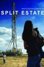 Watch Split Estate 123movies