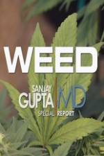 Watch CNN Weed Sanjay Gupta Report 123movies