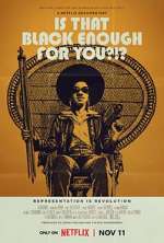 Watch Is That Black Enough for You?!? 123movies