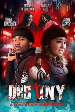 Watch Destiny: A Love Story Gone Wrong 123movies