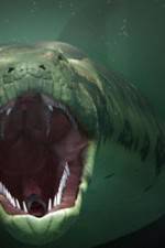 Watch The World's Largest Snake 123movies